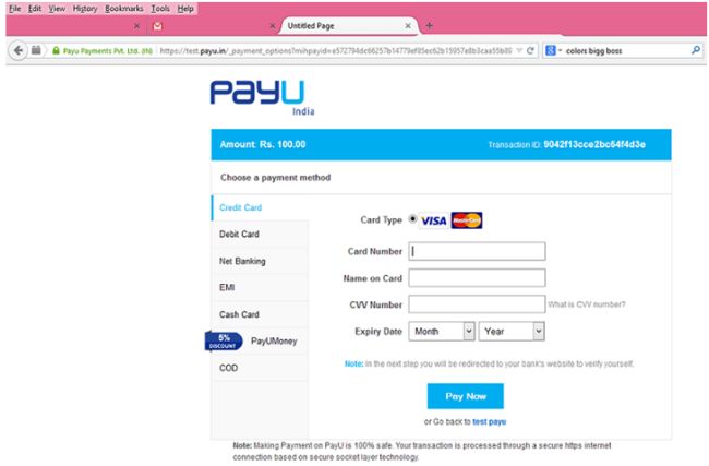 Select Payment method and fill data 
